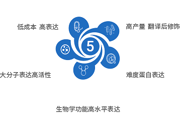 5大蛋白表達系統